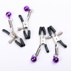 Breast Clit Sensual Bondage Nipple Clips Sexy Bell Breast Bra Delights SM Screw Breast Nipple Clamps Vice Nipple Clamps Fetish Nipples Teasers Chain