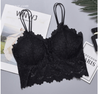 Floral Bralette Padded Women's Lingerie Sexy Lingerie Crop Tops Lingerie Brands